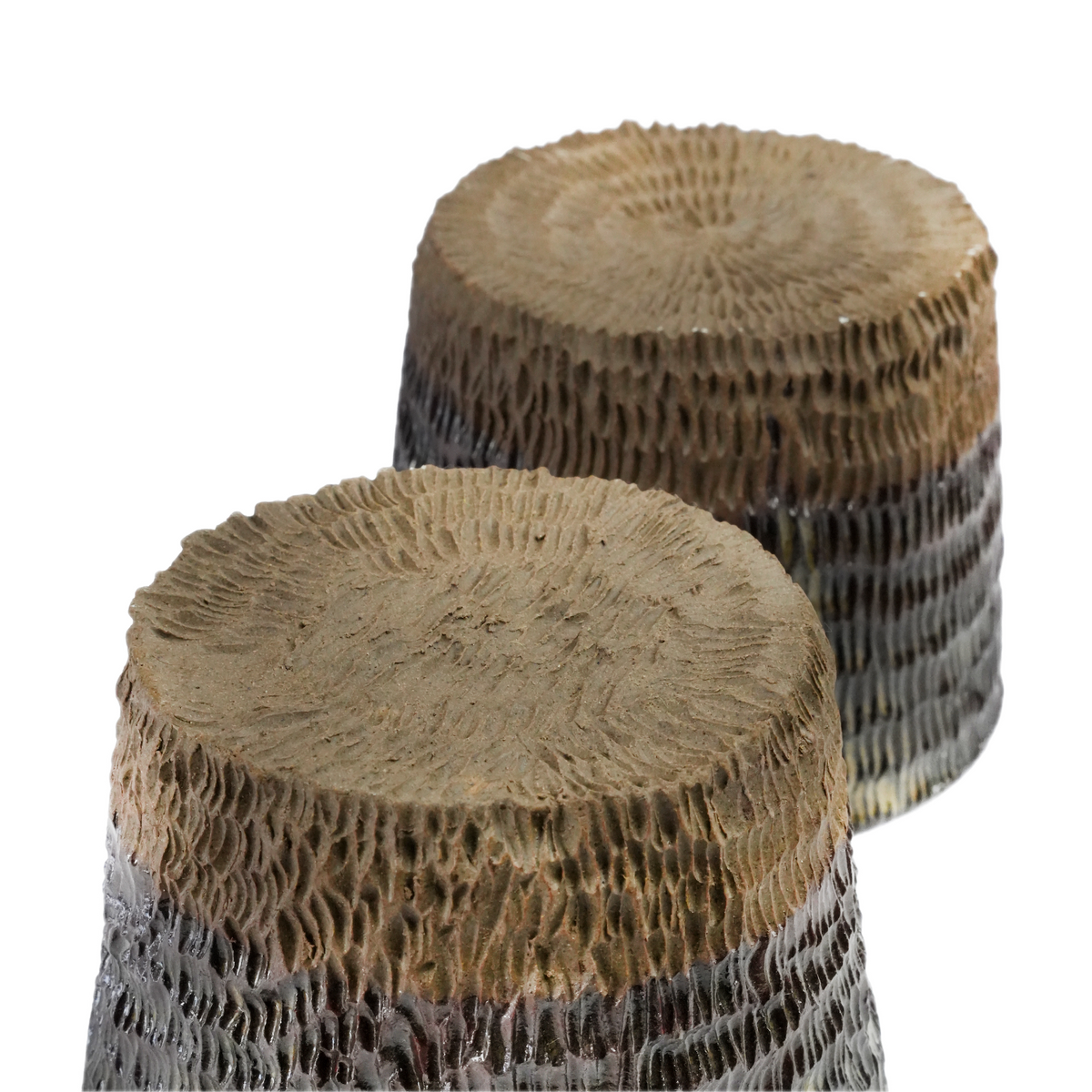 Hedgehog tumbler