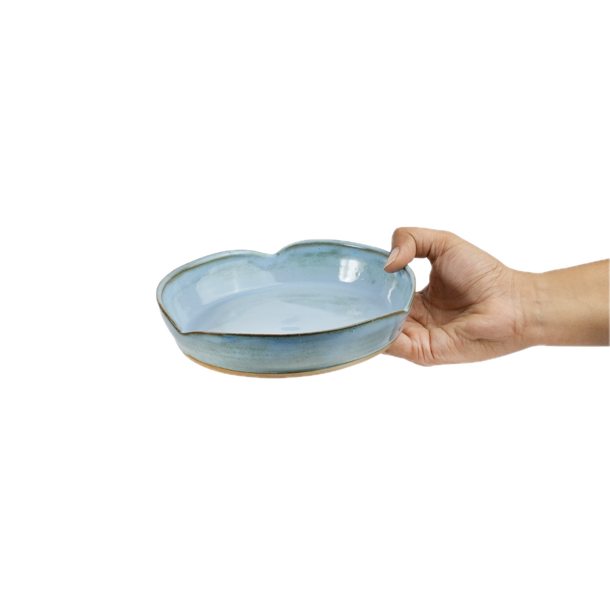 Small Blue Plate